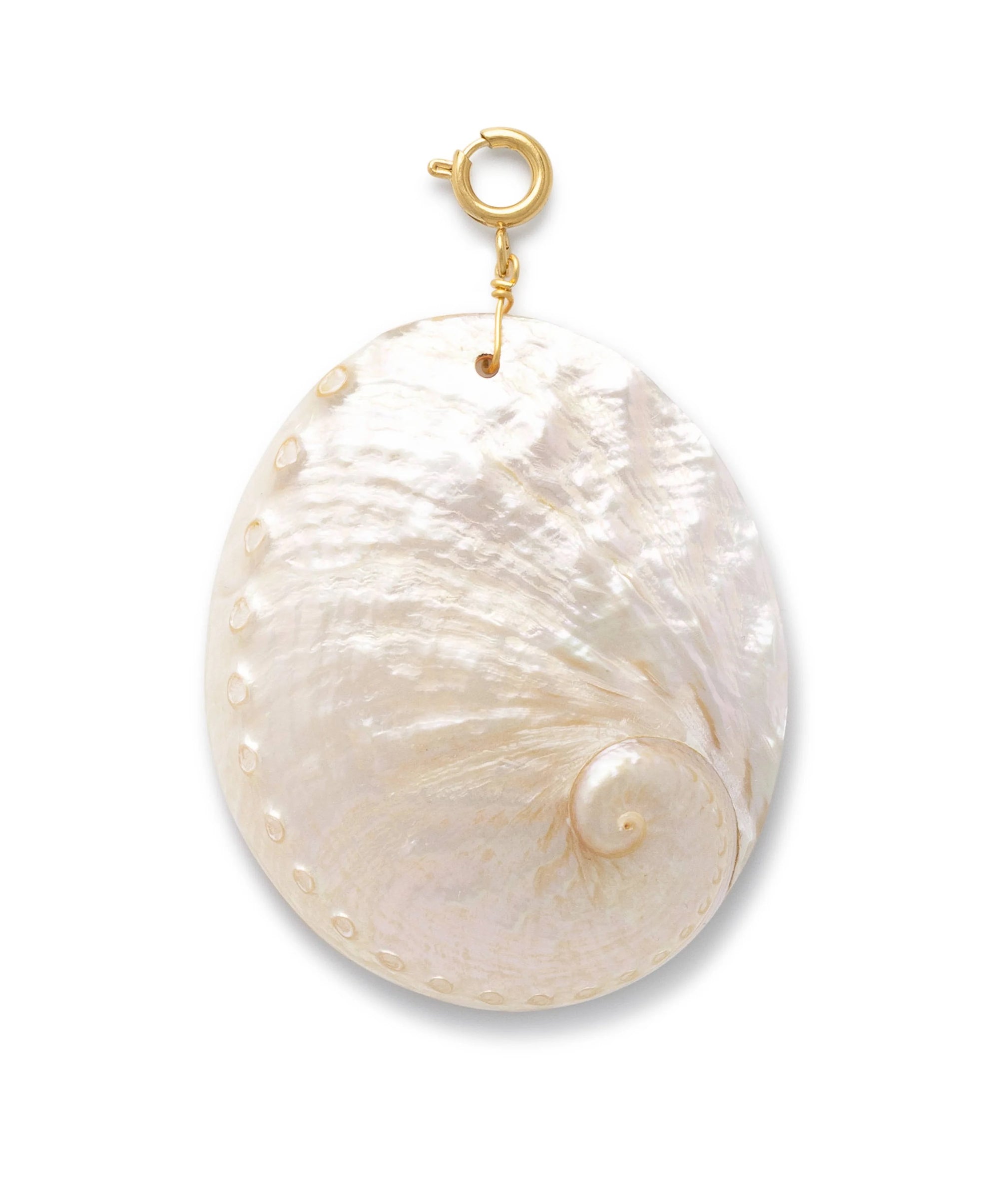 Le Veer Oval Shell bedel
