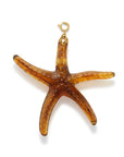 Le Veer oversized Seastar Bedel brown