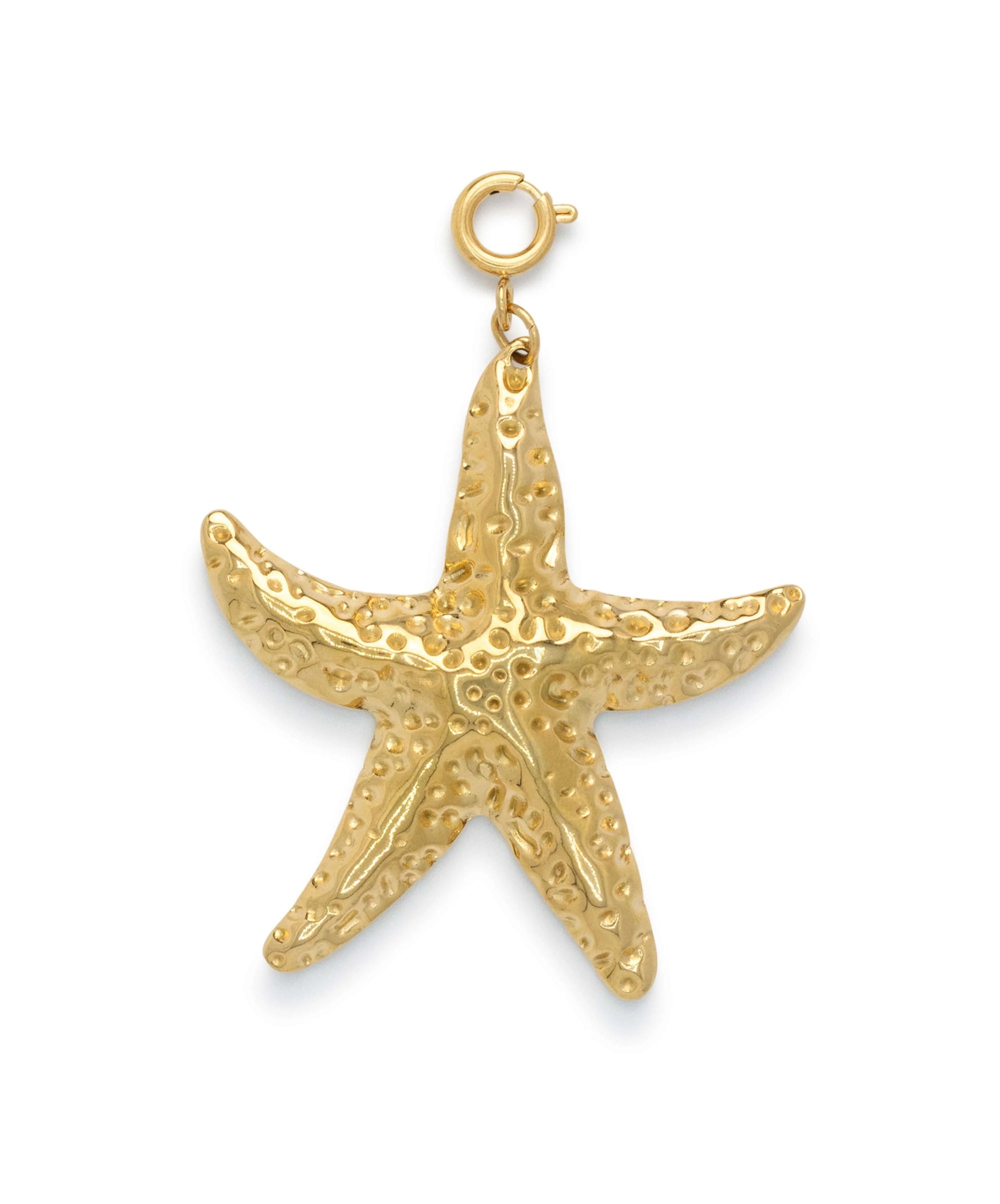 Le Veer Big Seastar charm